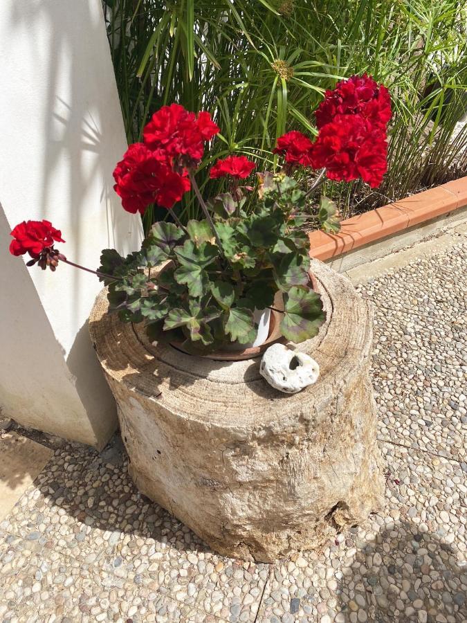 Villa Il Giardino Di Bonagia à Tonnara di Bonagia Extérieur photo